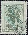 Syrie 1982 Oblitr Used Agriculture Olives et Oliviers SU
