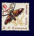 Roumanie - oblitéré - papillon de nuit