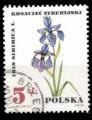 Pologne Yvert N1629 Oblitr 1967 Fleur IRIS sibernica
