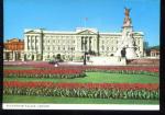 CPM neuve Royaume Uni LONDON Buckingham Palace
