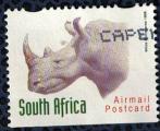 Afrique du Sud Oblitr Used Animaux Sauvages White Rhinoceros Rhinocros Blanc