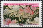 Adh N 1992 - Motifs de fleurs  hortensias et pivoines - Cachet rond