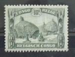 Congo Belge : n 169 nsg