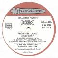 LP 33 RPM (12")  Chuck Berry  "  Promised land  "