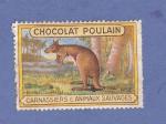 Image vignette Chocolat Poulain : Kangourou