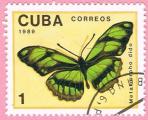 Cuba 1989.- Mariposas. Y&T 2914. Scott 3102. Michel 3265.