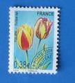 FR 2009 - Pro 254 - Fleur Tulipe (obl)