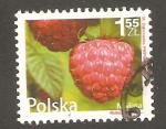 Poland - Michel 4546   fruit