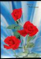 CPM  ANNIVERSAIRE visio-relief  3D Fleurs Roses