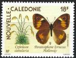 Nouvelle-Caldonie - 1990 - Y & T n 265 Poste arienne - MNH (2