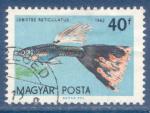 Hongrie N1497 Poisson - Lebistes reticulatus oblitr