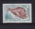Congo - 147