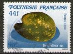 **  POLYNESIE FRANCAISE    44 F  1988  YT-314  " Limace de mer "  (o)   **