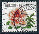 Belgique 1997 - oblitr - fleur