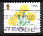 Guernesey Yvert N569a Oblitr 1992 Fleur illets jaunes Carnet