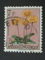 Congo belge 1952 - Y&T 318 obl.
