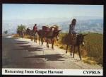  CPM anime neuve Chypre on rentre chez soi aprs la rcolte du raisin