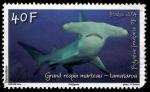 Polynésie : Y.T. 1066 - Grand requin marteau - oblitéré - année 2014