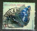 **   BELGIQUE    1  2012  YT-4270  " Lesse purple Emperor "  (o)  ***  
