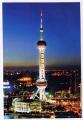 Carte Postale Moderne non crite Chine - Shanghai Oriental Pearl TV Tower