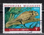 Madagascar / 1973 / Caméléon / YT n° 523, oblitéré