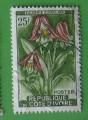 Cote d'Ivoire 1961 - Nr 195 - Fleur Eulophia (obl)
