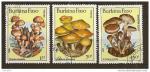 Burkina Faso YT n 676 - 678 - PA 311 funghi, champignons -  anno 1985