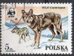 POLOGNE N 2787 o Y&T 1985 Protection des loups