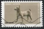 France 2018; Y&T n aa1524; L.V,. antiquits, art Chine, chien