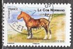 FRANCE N 814 de 2013 "chevaux de trait" Le Cob Normand oblitr rond