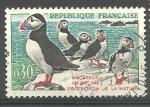 France 1960; Y&T n 1274; 030F oiseaux, Macareux-moines