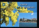 CPM neuve 83 Souvenir de SAINT RAPHAL Fleurs Mimosas