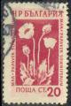 Bulgarie 1953 - Plante mdicinale : pavot somnifre, 20 cm - YT 777 