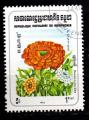 AS21 - Anne 1983 - Yvert n 422 - Fleurs : Renoncule
