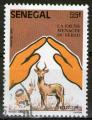 **   SENEGAL    55 F   1987  YT-694  " Antilope "  (o)   **