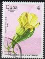 CUBA N 2229 Y&T 1980 Fleurs sylvestre (Urechites lutea)