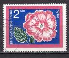EUBG - 1974 - Yvert n 2095 - Rose trmire (Alcea rosea)