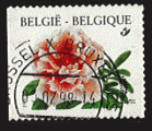Belgique 1997 - Y&T 2733 - oblitr - rhododendron