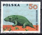 POLOGNE - 1966 - Dinosaure-  Yvert 1509 Oblitr 