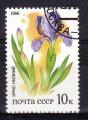 RUSSIE - Timbres n5277 oblitr