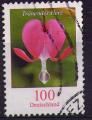 Allemagne : Y.T. 2370 - Fleur : Coeur de Marie  - oblitr - anne 2006