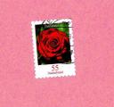 ALLEMAGNE Oblitr Used Stamp Fleur Gartenrose 55 DEUTSCHLAND