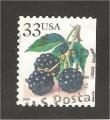 USA - SG 3808   fruit
