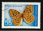 Roumanie 1969 - YT 2472 - oblitéré - papillon