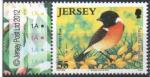 Jersey 2012 - Oiseau : tarier ptre - YT 1749/SG 1682 **