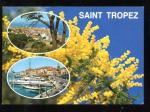CPM 83 Souvenir de SAINT TROPEZ Multi vues Fleurs Mimosas