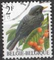 Belgique 1992 Y&T n 2458; 2F oiseau, merle noir