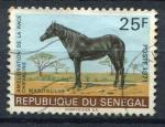 Timbre du SENEGAL 1971  Obl  N 349  Y&T  Chevaux