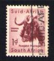 Afrique du Sud Oblitr Used Stamp Animaux Buffle Buffalo