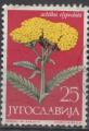 YOUGOSLAVIE N 1013 Y&T 1965 Plante mdicinale (Achille mille feuilles)